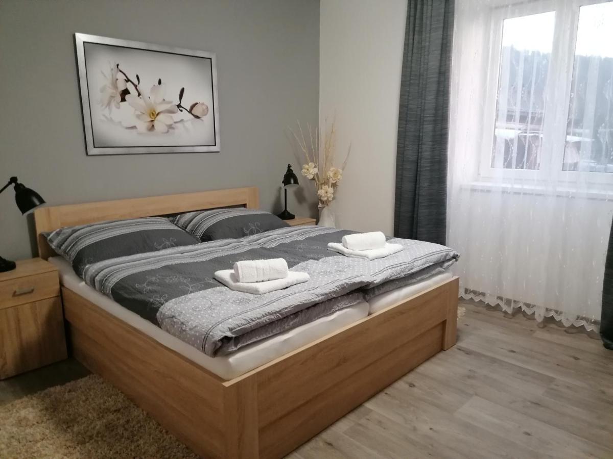 Apartman 88 Červená Voda Eksteriør bilde