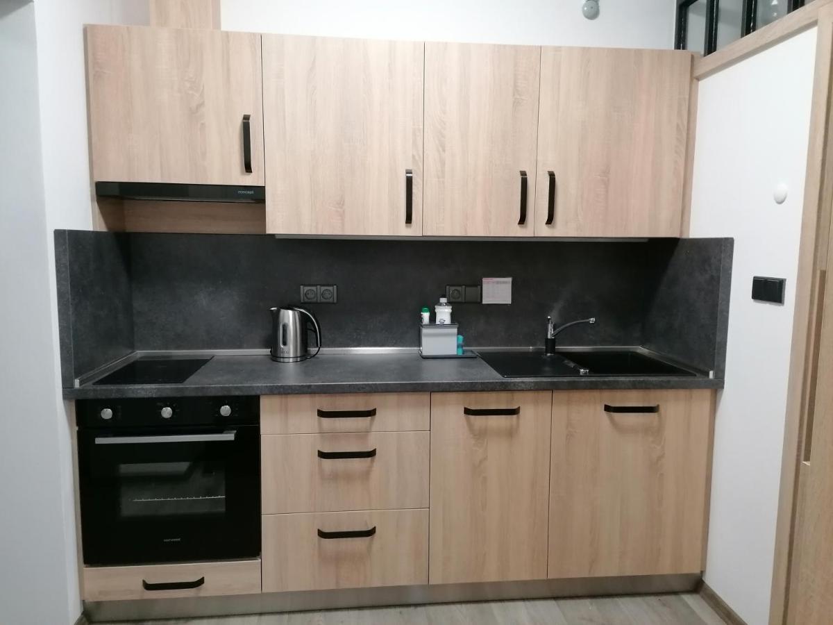 Apartman 88 Červená Voda Eksteriør bilde
